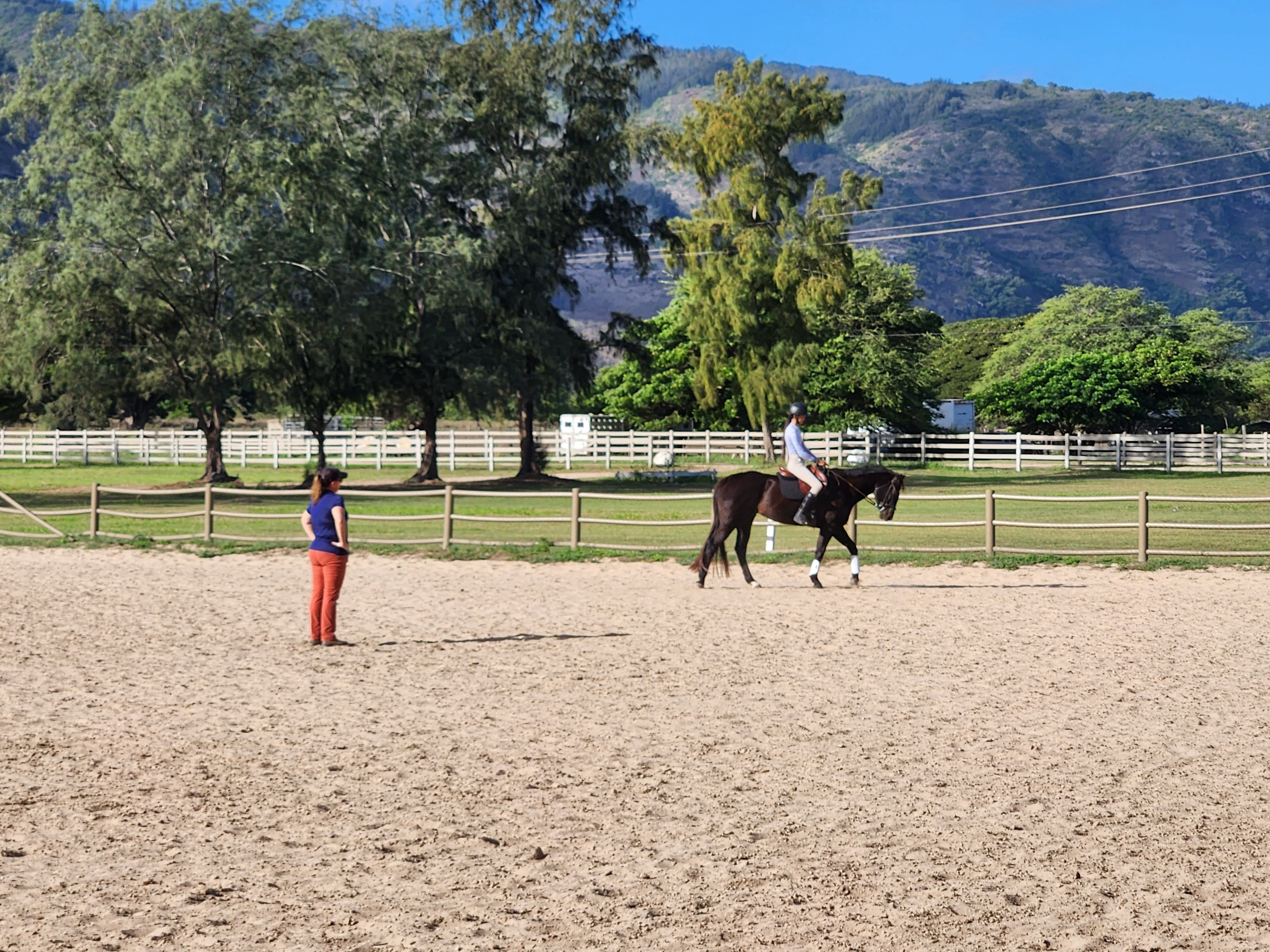 Horses and Pony Club in Hawaii