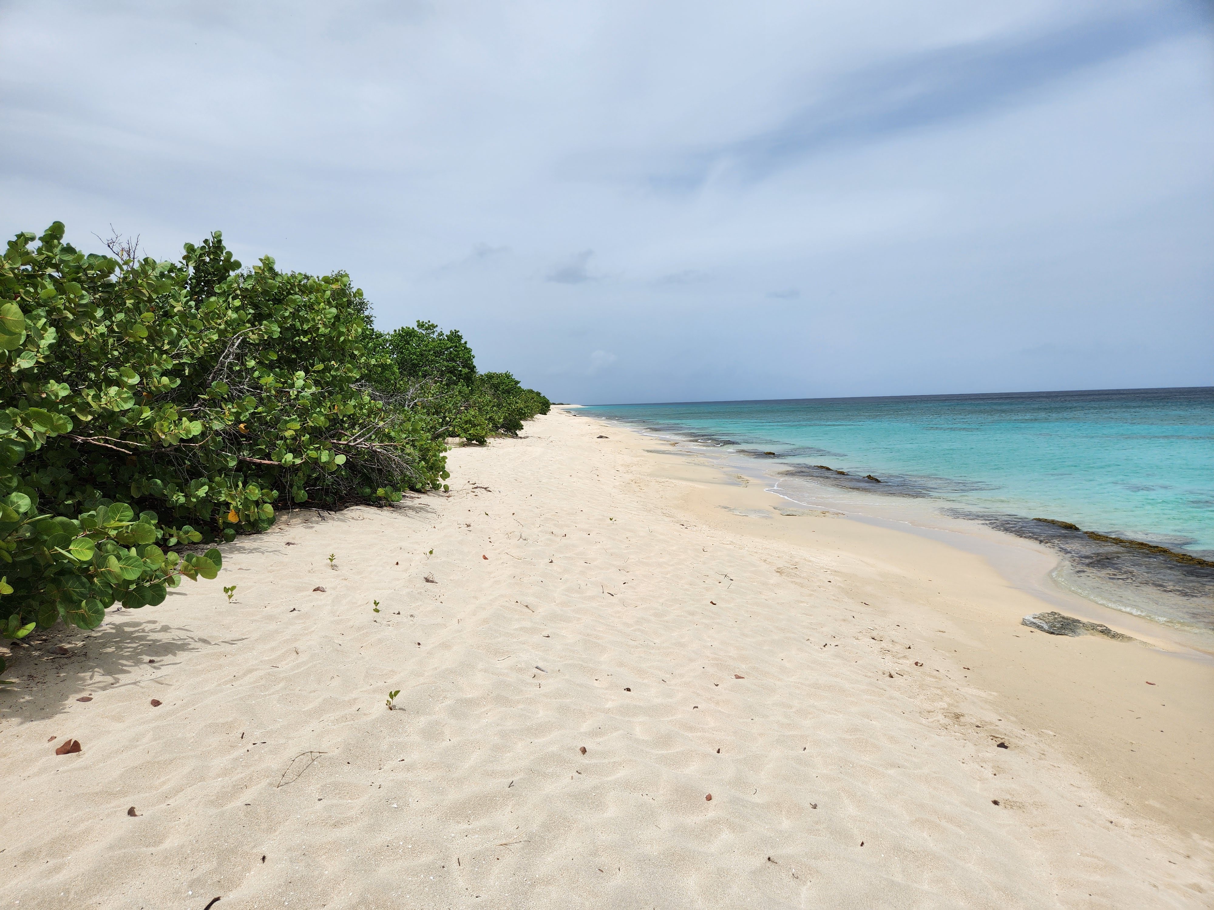 Featured image of post Sandy Point